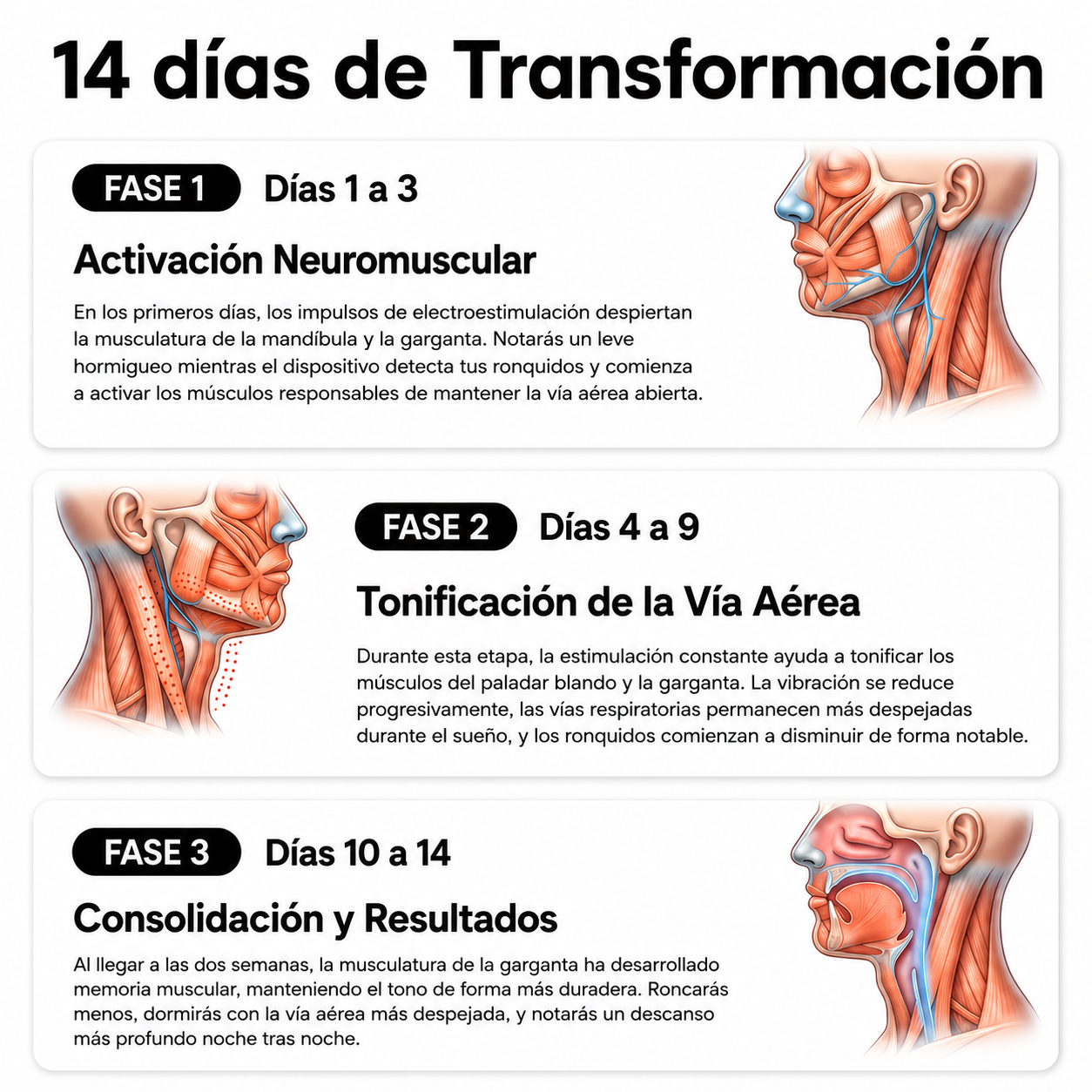 Dispositivo Anti-Ronquidos Inteligente | AureaPura®